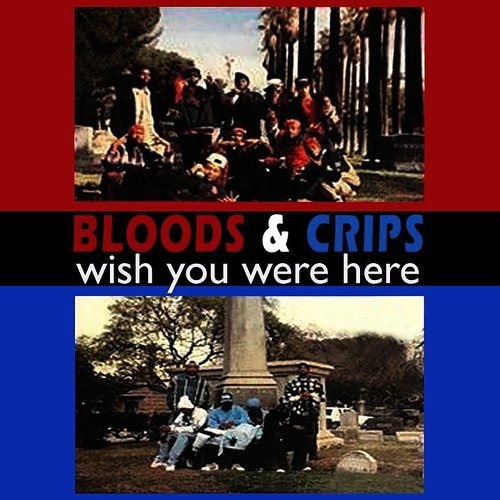 Wish You Were Here (Single)